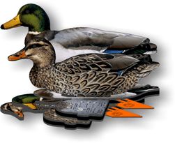 Комплект Чучел NRA FUD Mallard Шилохвость (6шт) США 