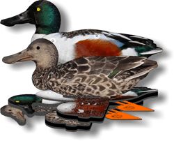 Комплект Чучел NRA FUD Mallard Утка Широконоска (6шт) США 