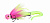 Бактейл FRAPP Rowdy Head #08 Sour Bubblegum